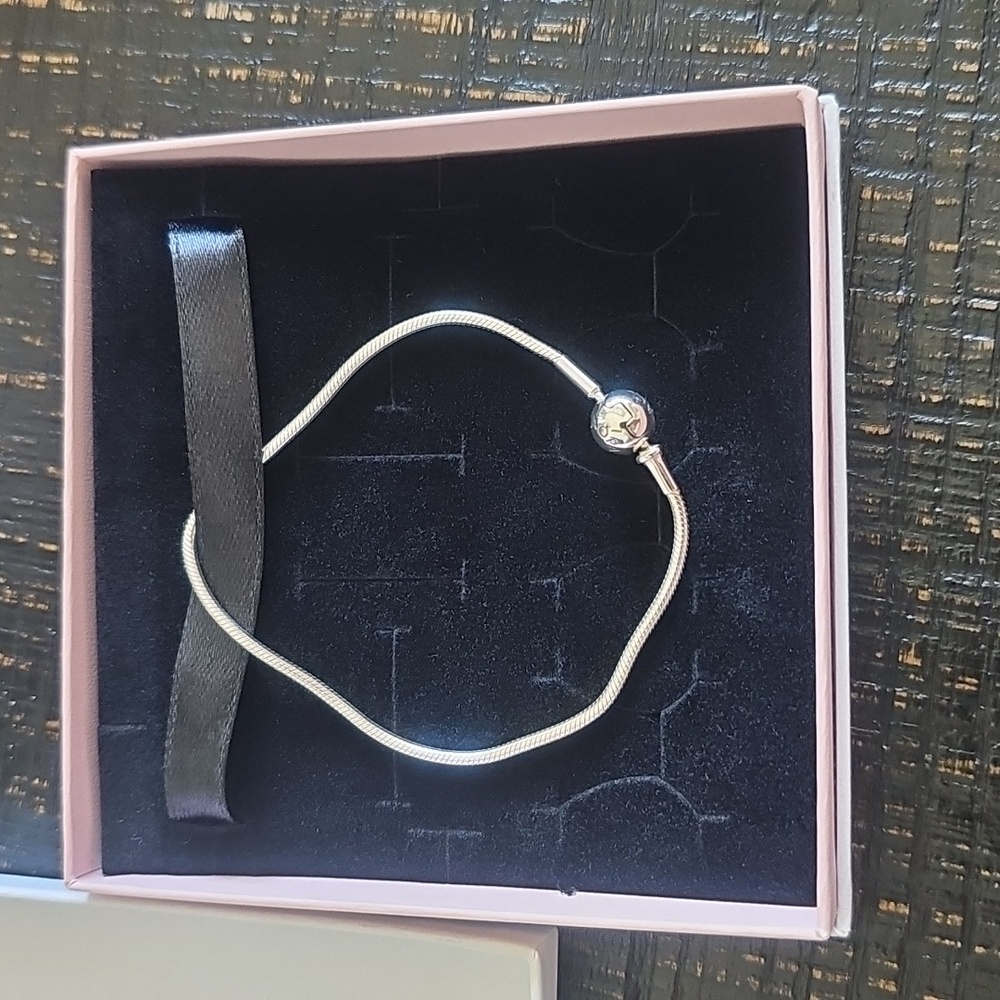 Pandora Moment Snake Chain Bracelet - Picture 10 of 10